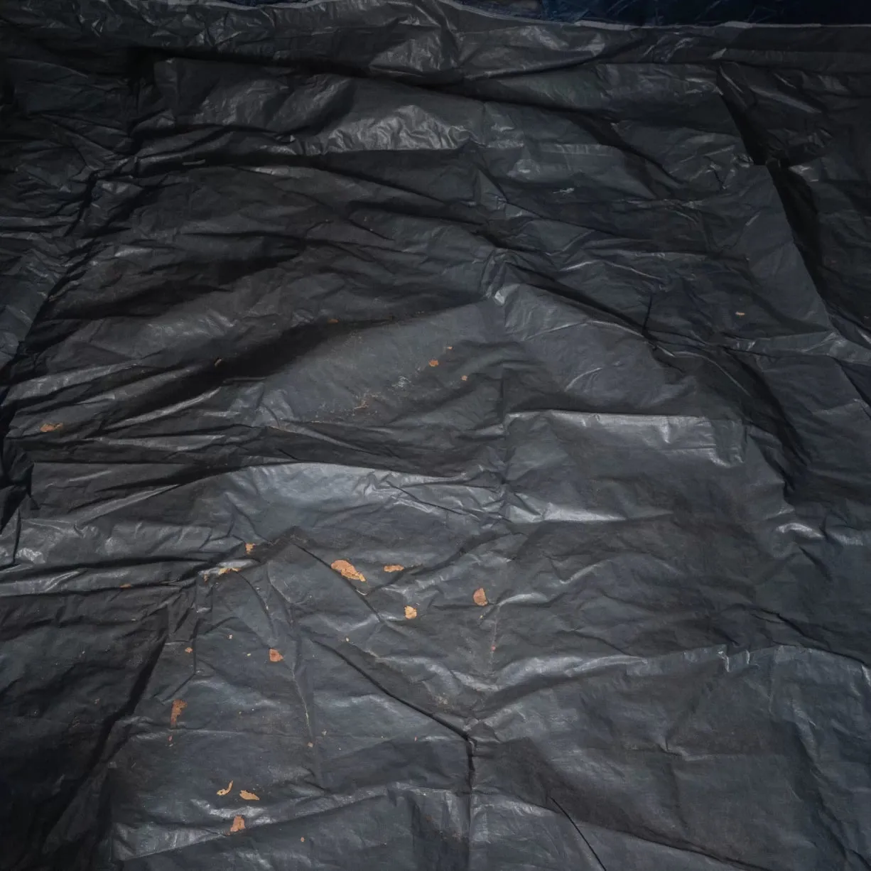 Coleman Sundome 6 Tent